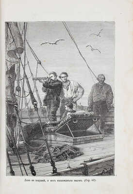 Райналь Ф.Е. Крушение шкуны Графтон. 20 месяцев одиночного пребывания на рифе Аукландских островов. СПб.; М., 1875.